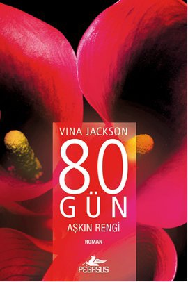 80-seksen-gun-askin-rengi-vina-jackson-pegasus-yayinlari