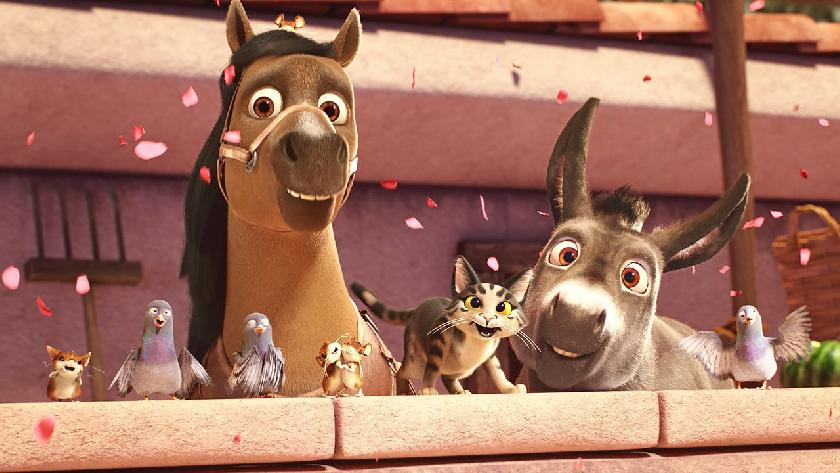 iki katir 5ffd829fbbeb1