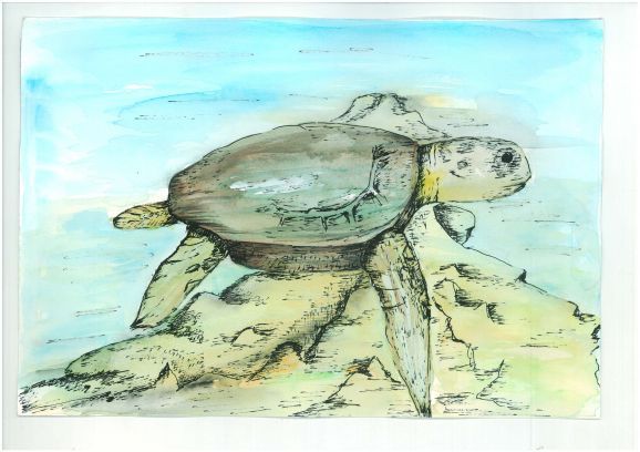 s_7aed35722b4a29dbbb_ffe7d4fe848039ab479e2