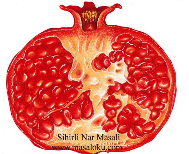 sihirli_nar_masali
